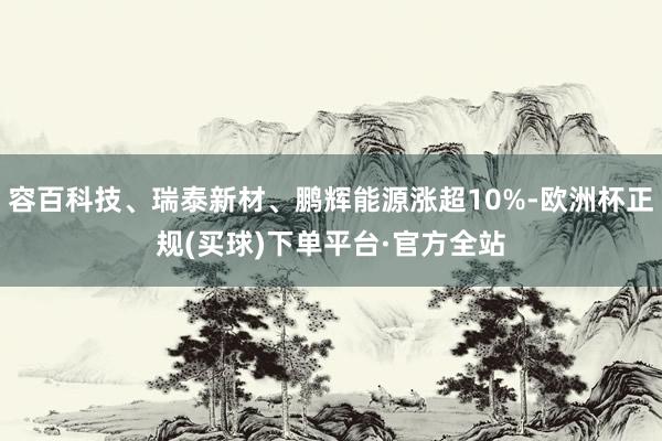 容百科技、瑞泰新材、鹏辉能源涨超10%-欧洲杯正规(买球)下单平台·官方全站