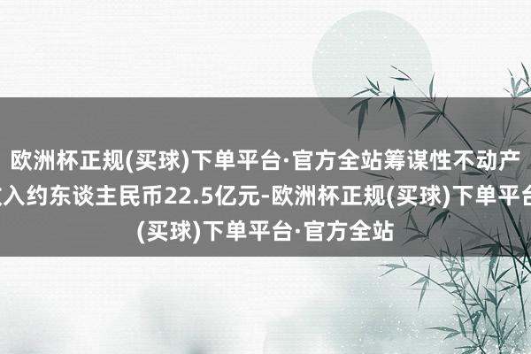 欧洲杯正规(买球)下单平台·官方全站筹谋性不动产业务房钱收入约东谈主民币22.5亿元-欧洲杯正规(买球)下单平台·官方全站