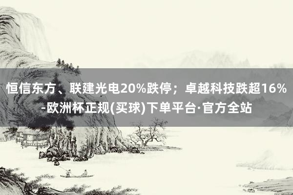 恒信东方、联建光电20%跌停；卓越科技跌超16%-欧洲杯正规(买球)下单平台·官方全站