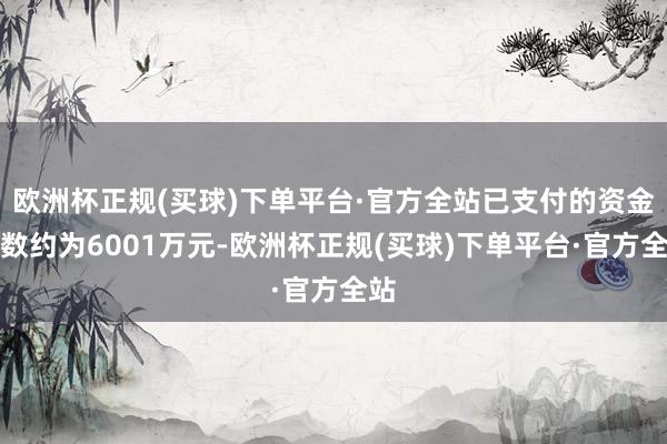 欧洲杯正规(买球)下单平台·官方全站已支付的资金总数约为6001万元-欧洲杯正规(买球)下单平台·官方全站