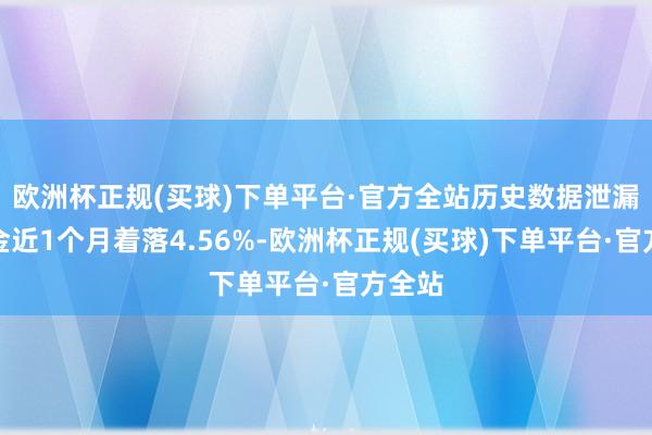 欧洲杯正规(买球)下单平台·官方全站历史数据泄漏该基金近1个月着落4.56%-欧洲杯正规(买球)下单平台·官方全站