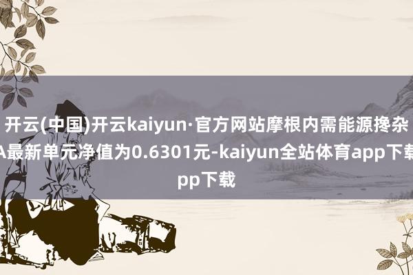 开云(中国)开云kaiyun·官方网站摩根内需能源搀杂A最新